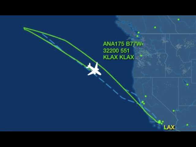 This ‘flight to nowhere’ goes viral for leaving model stranded for 8 hours