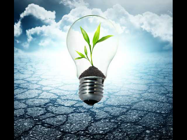 8 tips to live more environmentally conscious