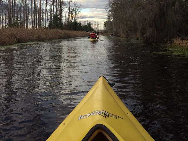 Paddle Under the Stars in the Okefenokee