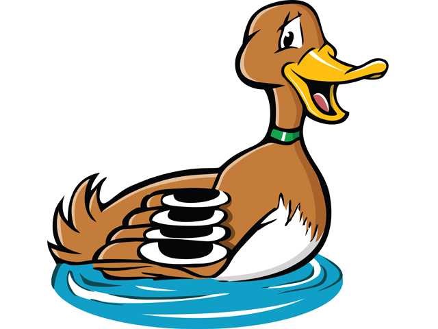 Weird News: Mass. home intruder turns out to be a duck