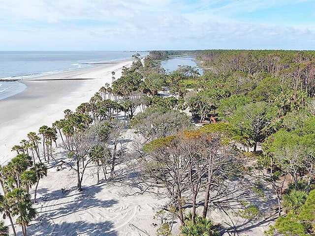 Hunting Island is 'wealthy' in animal, plant life