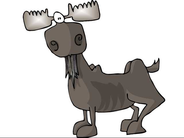Moose shows up at German office canteen